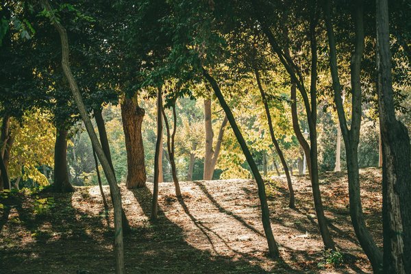 Inspirez Vous Sophro